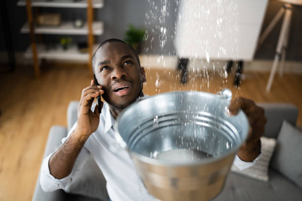 Best Mold removal after water damage  in Sterling, GA