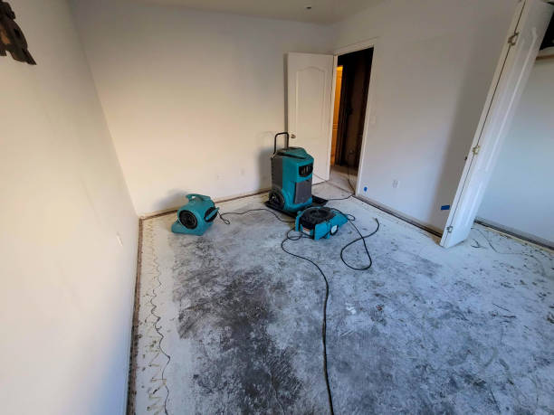Best Flood restoration services  in Sterling, GA