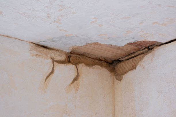 Best Sewage cleanup and water damage restoration  in Sterling, GA