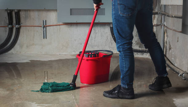 Best Ceiling water damage repair  in Sterling, GA