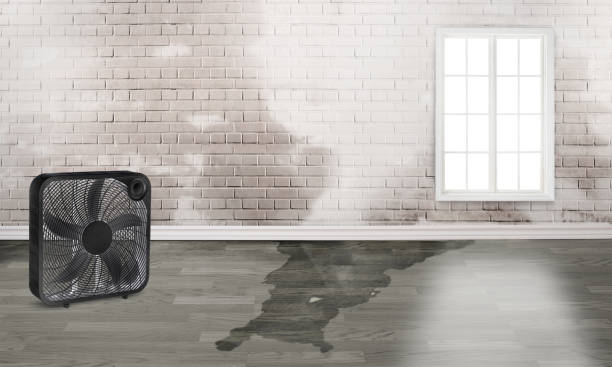 Best Commercial water damage restoration  in Sterling, GA