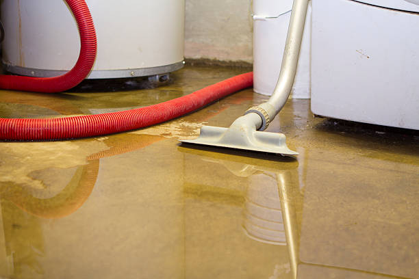 Best Basement water damage restoration  in Sterling, GA